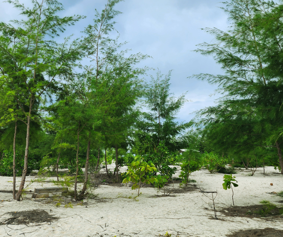 tour-listing-details-slide