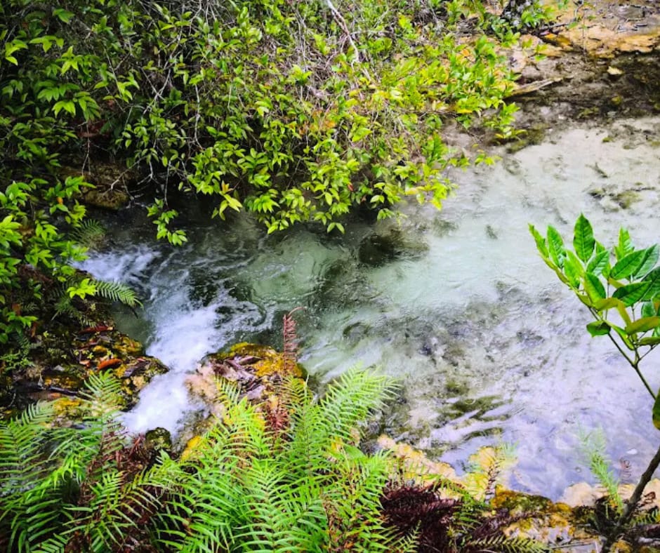 tour-listing-details-slide