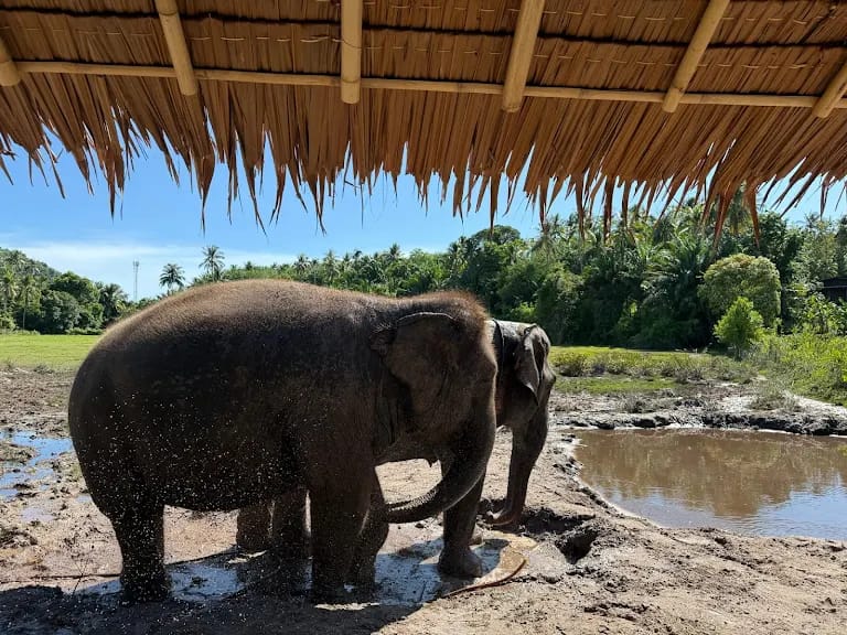 tour-listing-details-slide