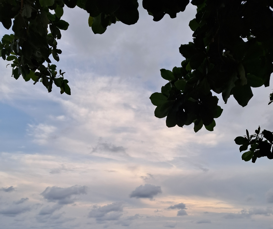 tour-listing-details-slide