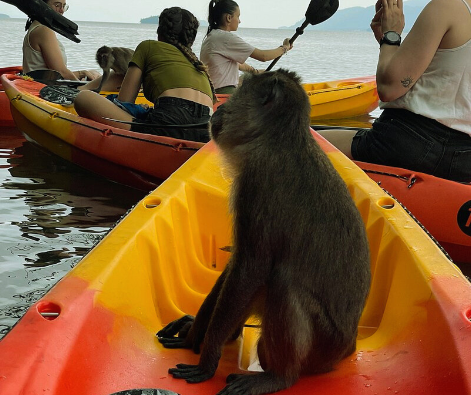 tour-listing-details-slide