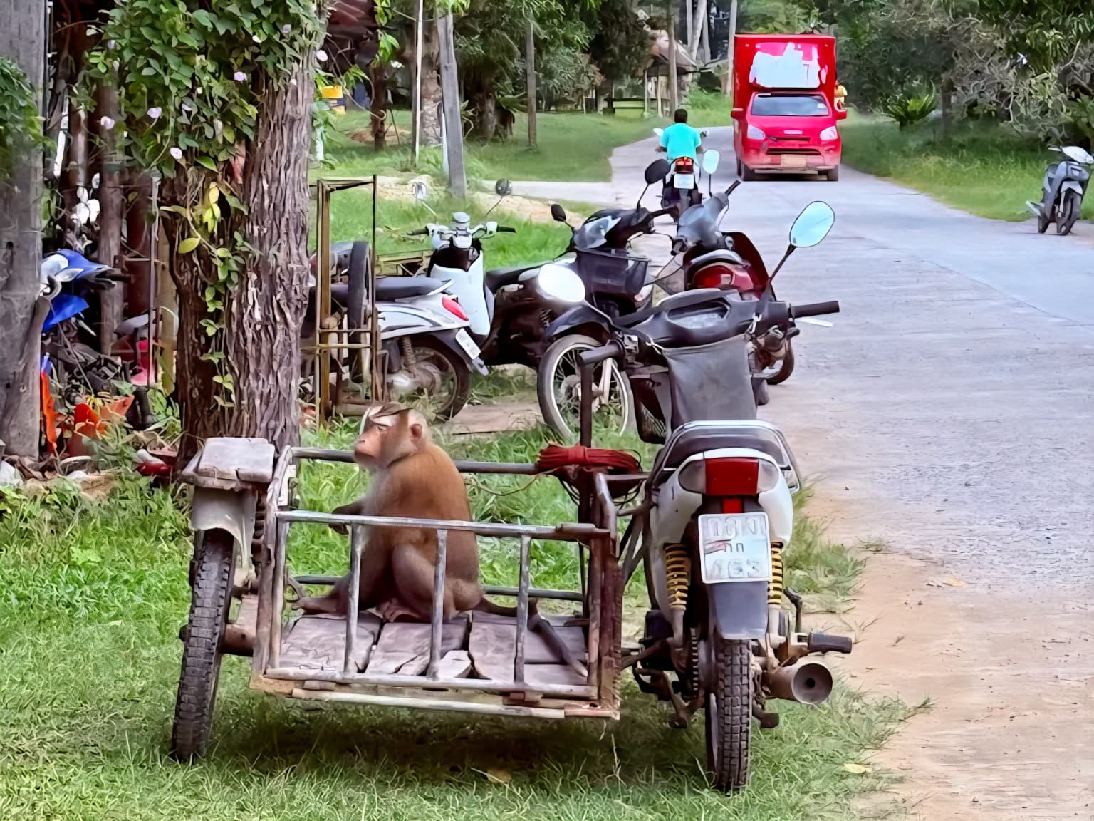 tour-listing-details-slide