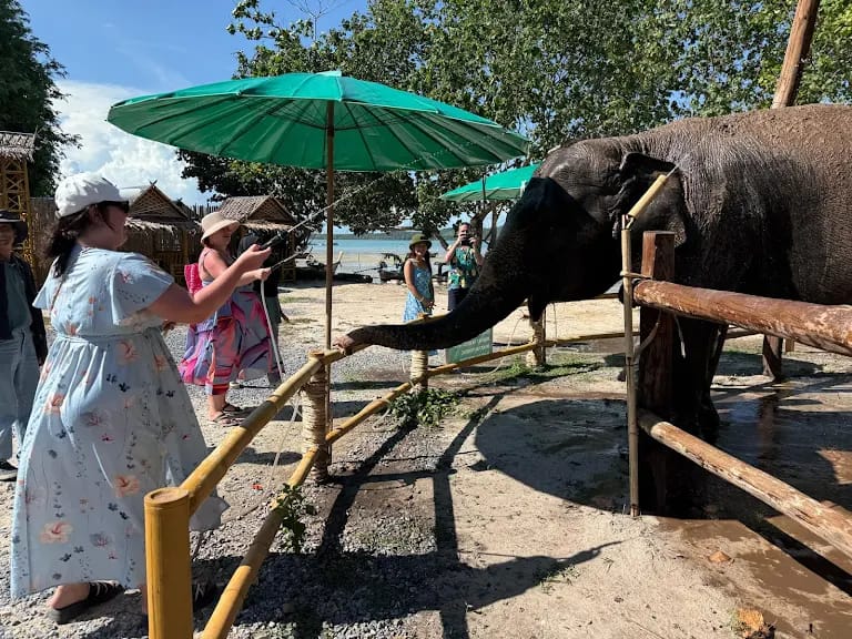 tour-listing-details-slide