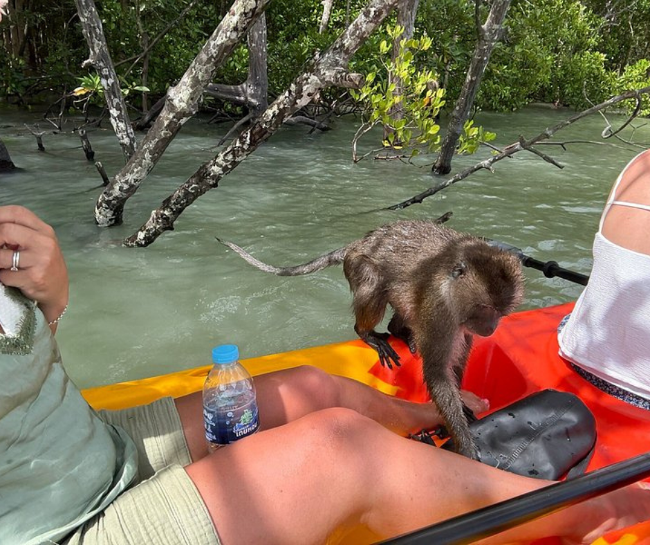 tour-listing-details-slide