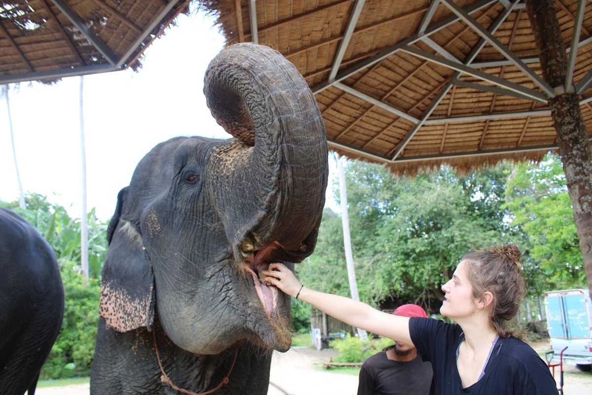 tour-listing-details-slide