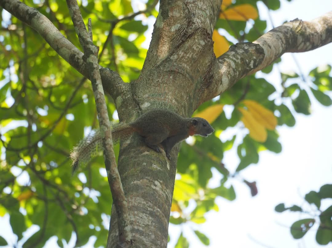 tour-listing-details-slide